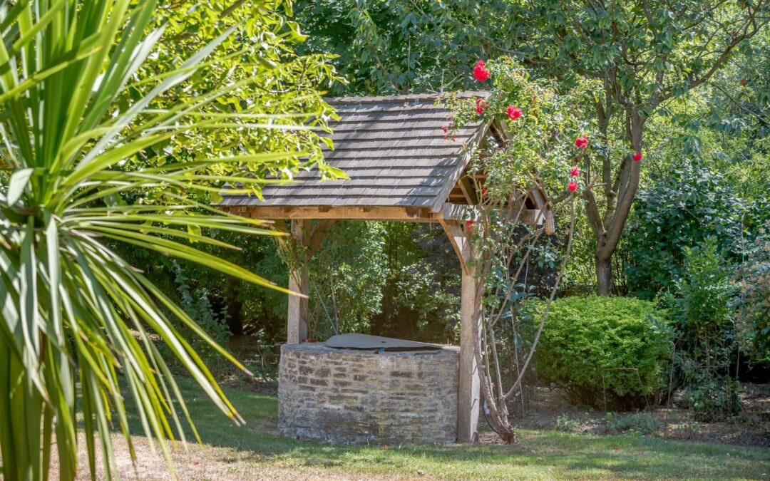 How Can I Transform My Garden Using The Wall Space?